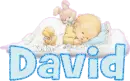 David