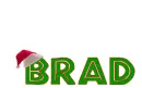 santa hat on Brad