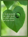To Lead