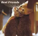Best Friends