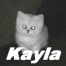 Kayla