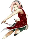 sakura
