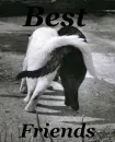 Best Friends