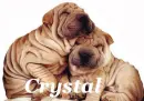 Crystal
