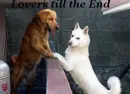 Lovers till the end