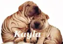 Kayla
