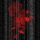 red flower