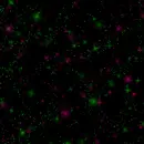 green and pink glitter
