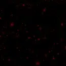 yellow and red glitter
