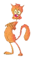 orange cat