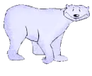 polar bear