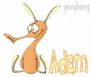 aardvark creature name