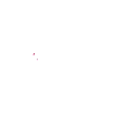 girl in pink