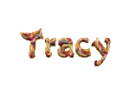 Tracy explosion