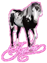 julia wild horse