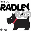 Radley jelous