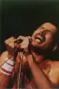 Freddie_The Best