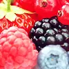 Fruits