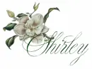 Shirley
