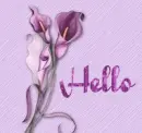 Hello