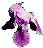 Purple Iris