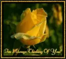 Im always thinking of you