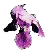 purple iris flower