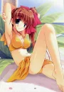 bikini