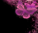 pink butterflies