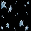 Ghost Dance