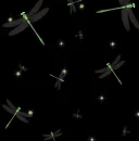 Dragonflies!