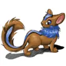cute neopet