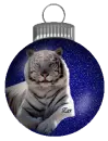 White Tiger