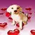 cute dog