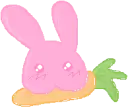 bunny2