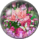 pink rose