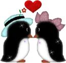 Penguin Love Couple