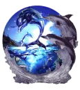 dolphins