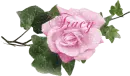 Tracy