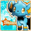 pkm-shinx