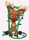 raindeer