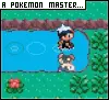 The pkm MASTER