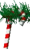 candycane