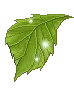 sparkling leaf