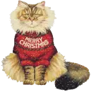christmas cat in shirt
