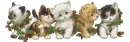 christmas kittens
