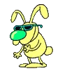 dancing rabbit