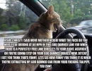 KITTY