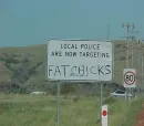 fat chicks