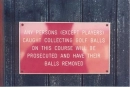 balls
